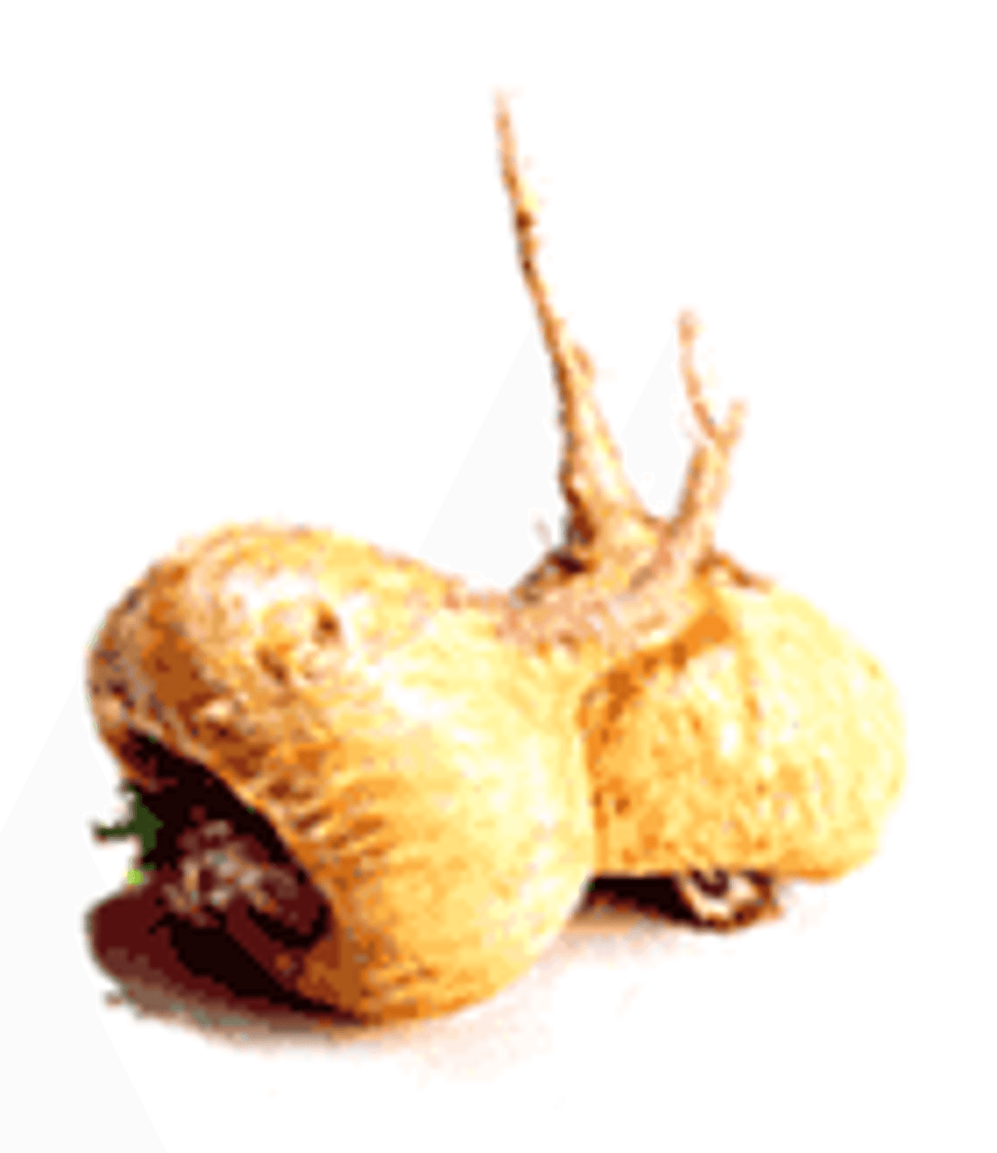 Organic Maca Meal Topper for Dogs and Cats - Nutritional Superfood