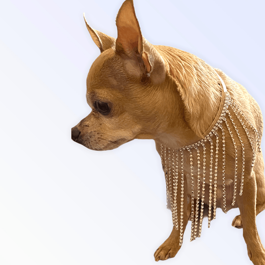 Starlet Vegan Leather Collar with Crystal Fringe and Pearl Tassels