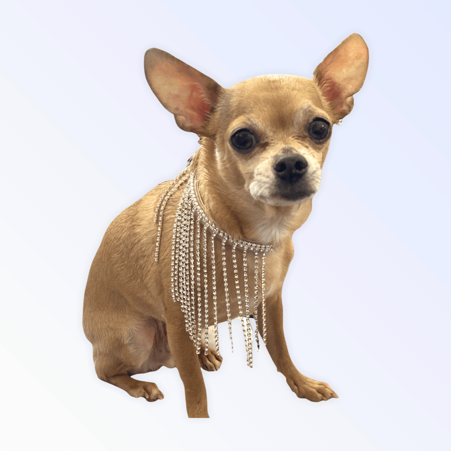 Starlet Vegan Leather Collar with Crystal Fringe and Pearl Tassels