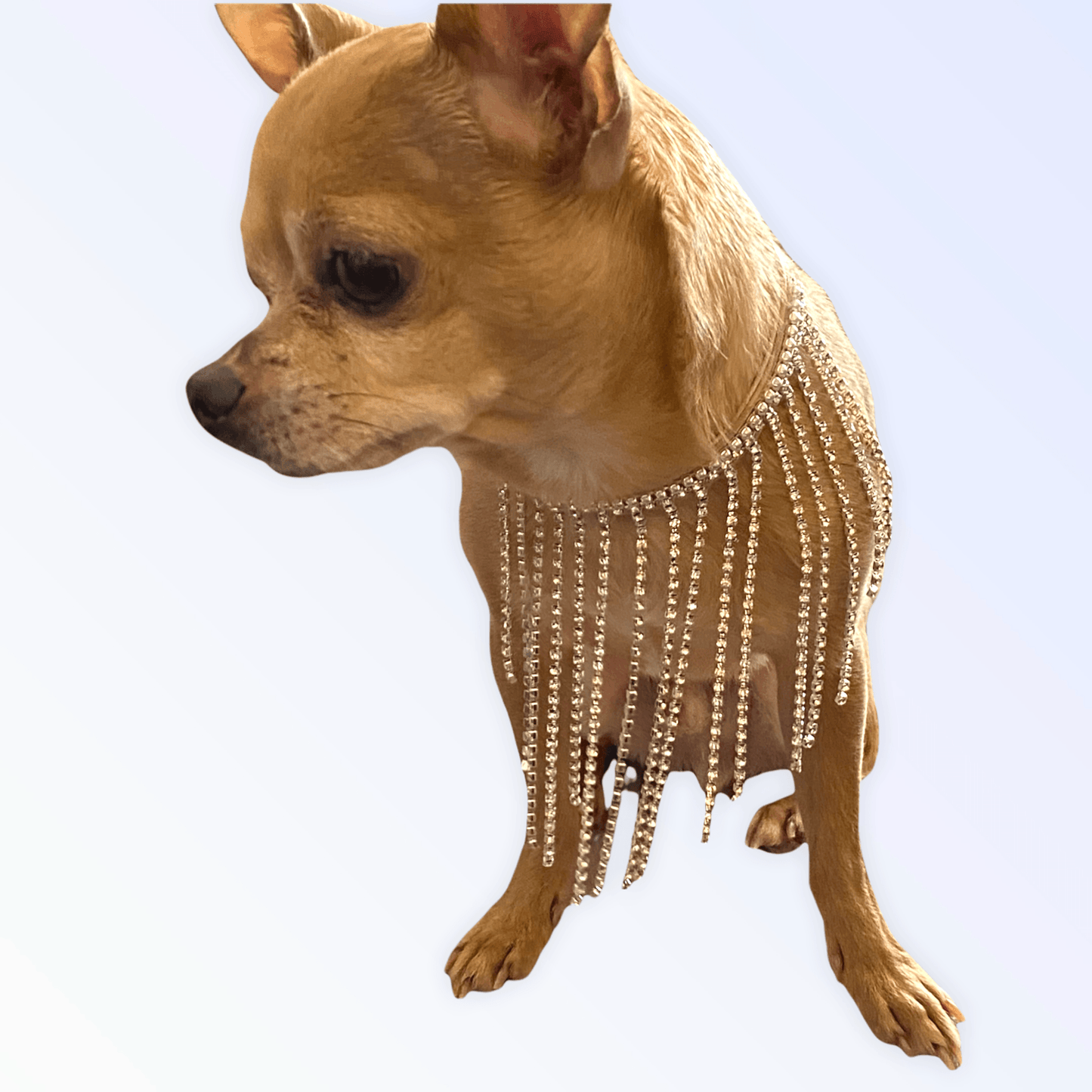 Starlet Vegan Leather Collar with Crystal Fringe and Pearl Tassels